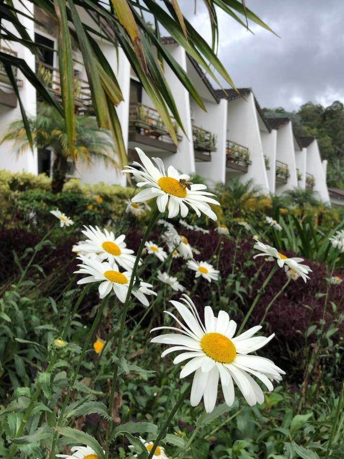 Hotel Ladera Boquete Exterior photo